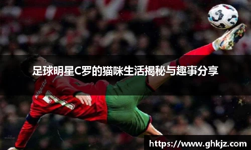 金沙集团1862cc官网